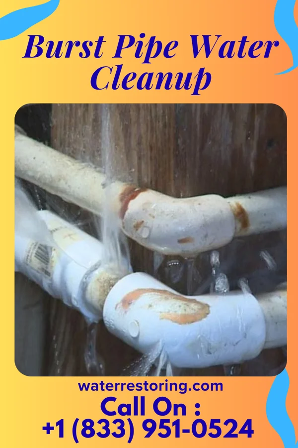 Burst Pipe Water Cleanup in Samburg, TN