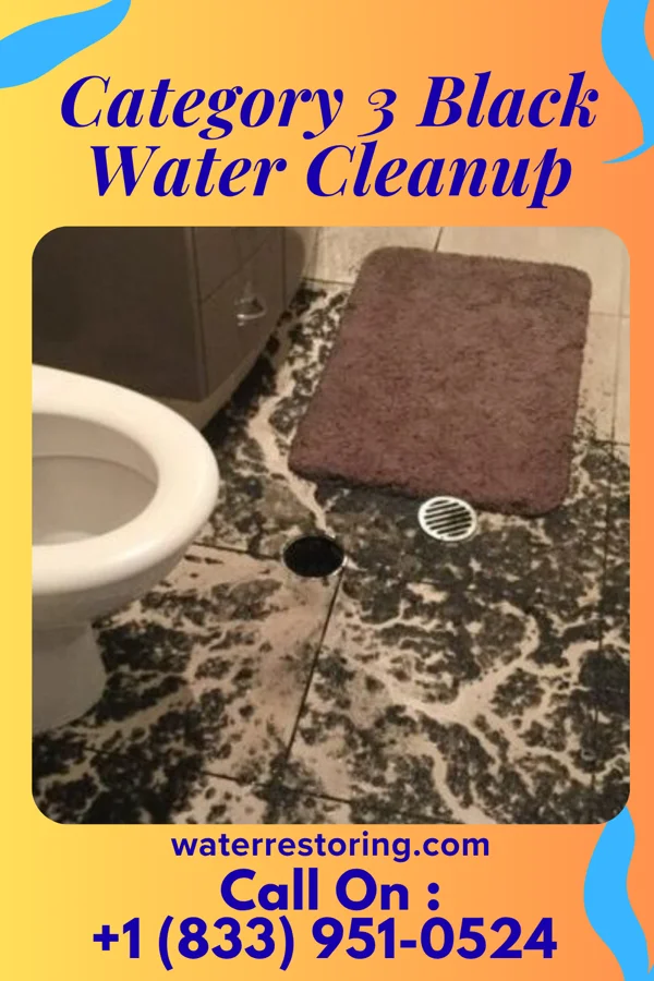 Category 3 Black Water Cleanup in Samburg, TN