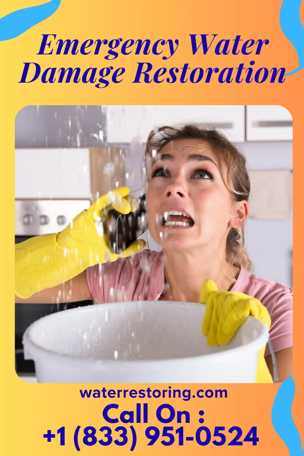 Emergency Water Damage Restoration in Samburg, TN