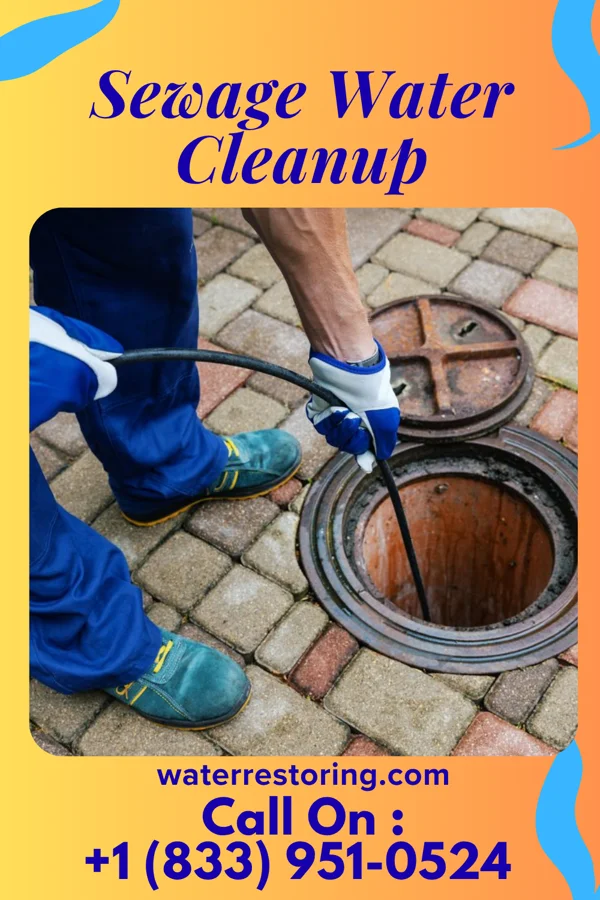 Sewage Water Cleanup in Samburg, TN