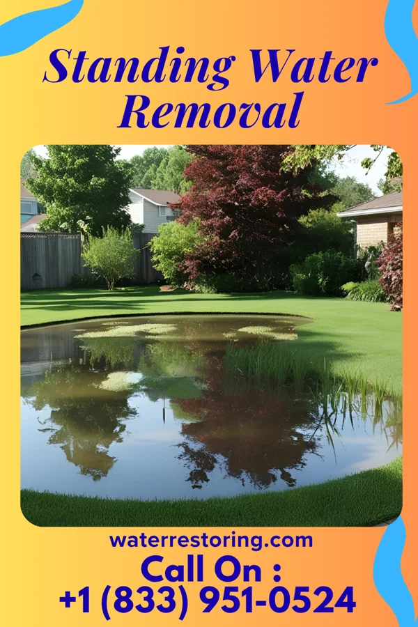 Standing Water Removal in Samburg, TN